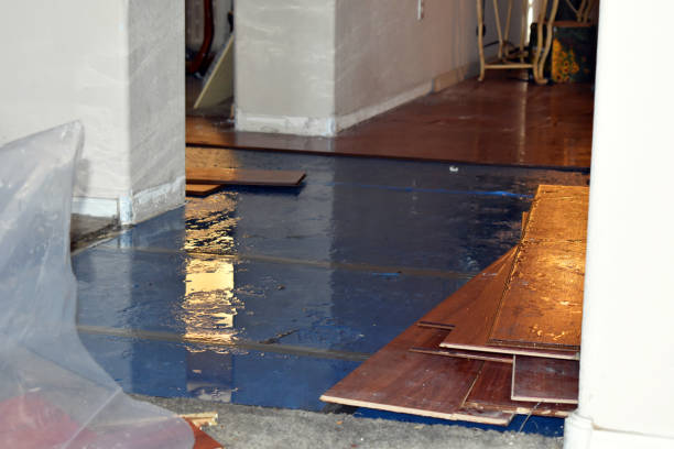 Professional Basement Flood Cleanup technician working in Frederic, MI